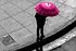 Pink umbrella by ann rayers