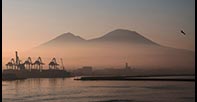 Naples Harbour by Carole Adams